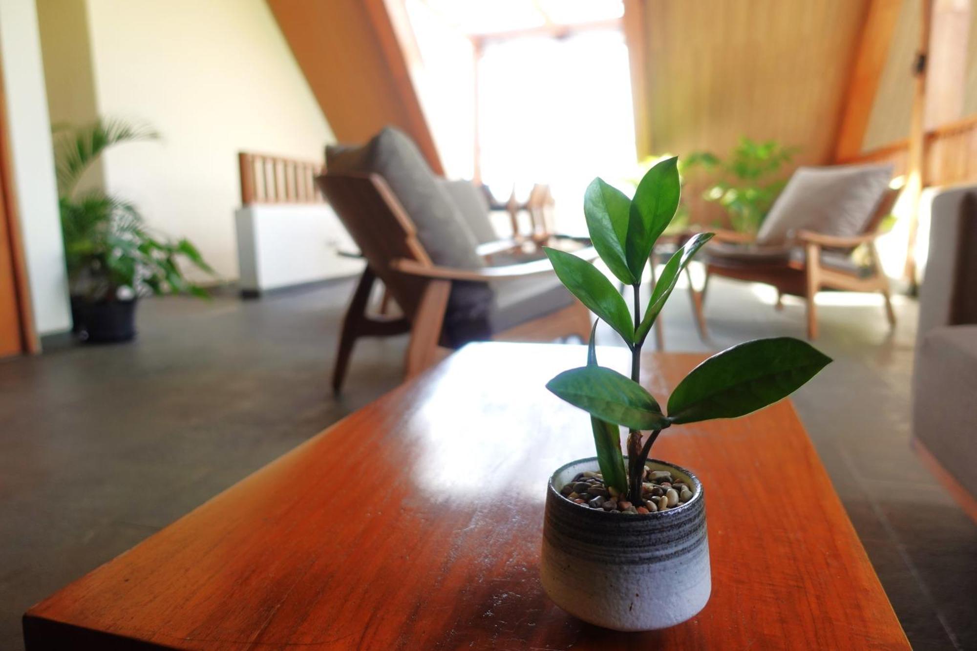 The Vinaya Boutique Hotel Ubud Extérieur photo