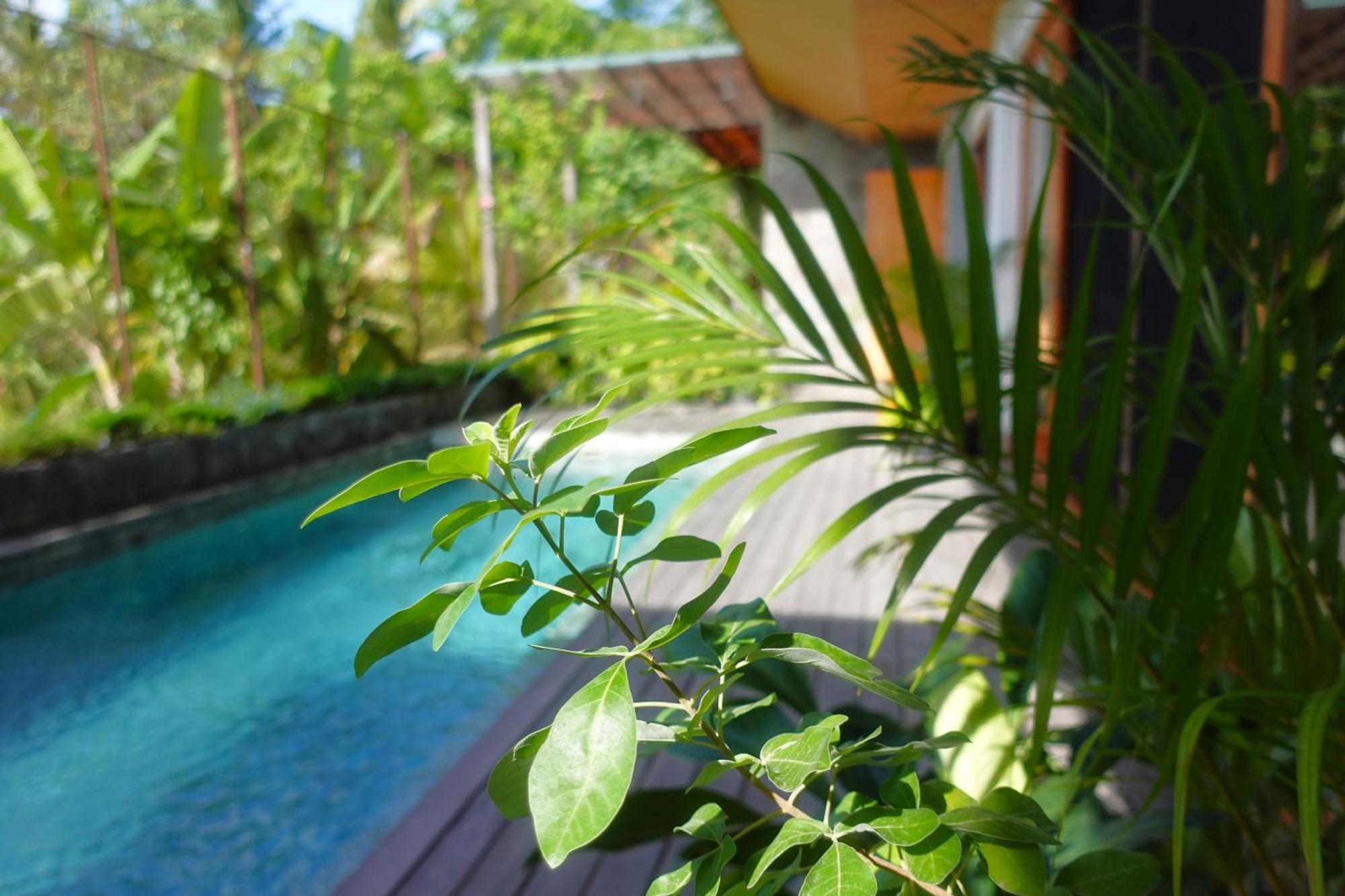 The Vinaya Boutique Hotel Ubud Extérieur photo